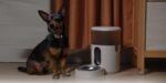 Automātiskā dzīvnieku barotava AQARA SMART HOME PET FEEDER C1/PETC1-M01 - Image 3